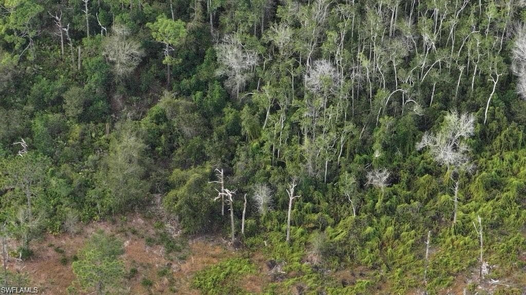 View of nature