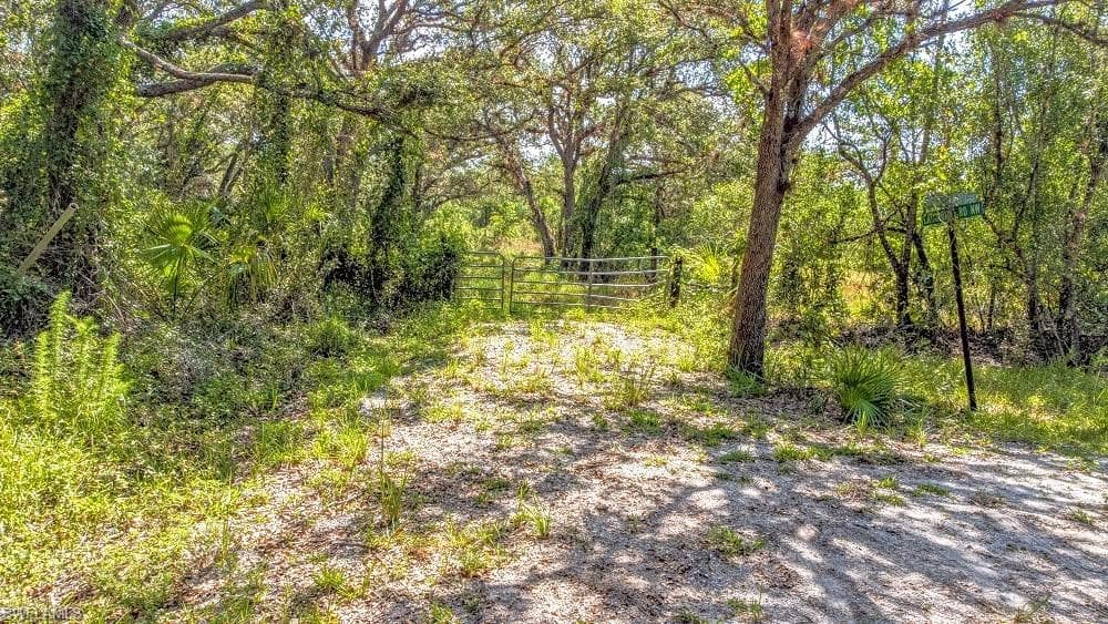 View of undeveloped land
