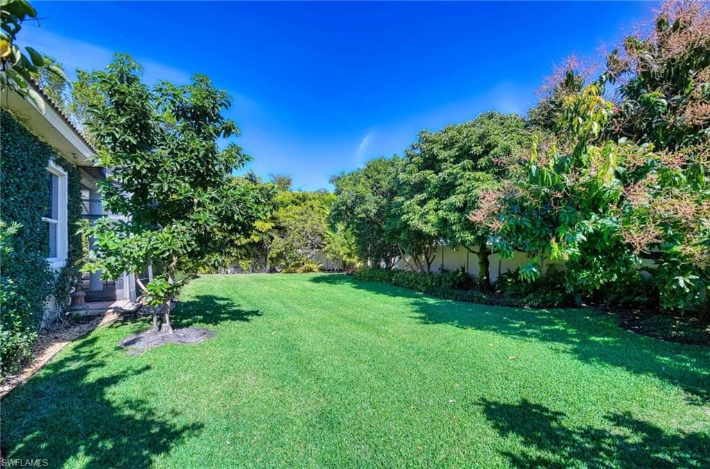 View of grassy yard