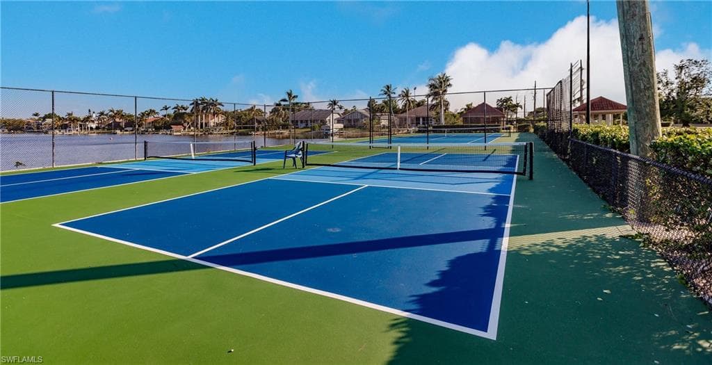 Play Popular Pickleball