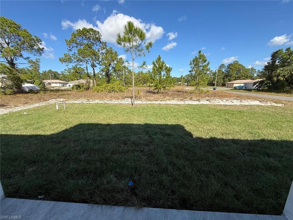 View of grassy yard