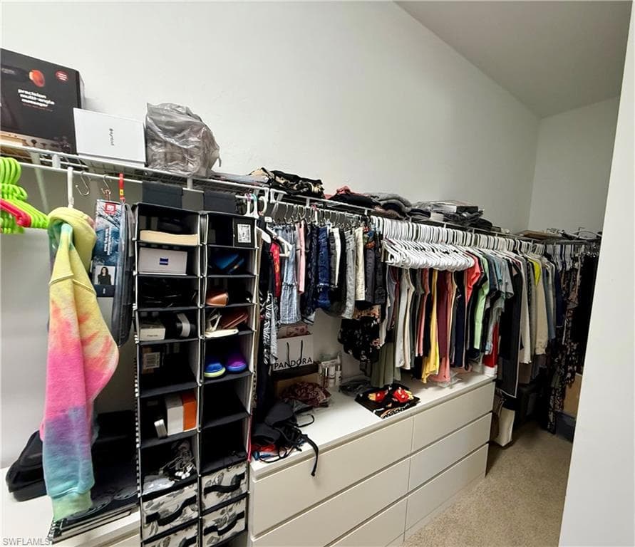 View of walk in closet