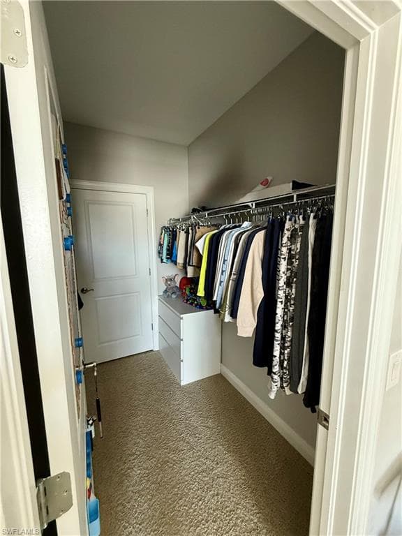 Walk in closet with light colored carpet