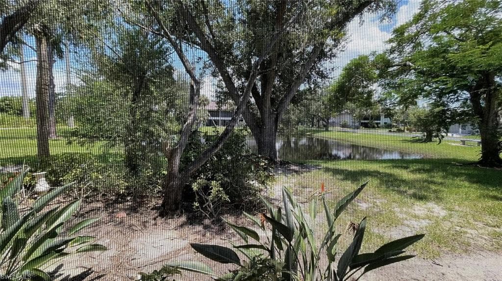 View of pond from Lanai