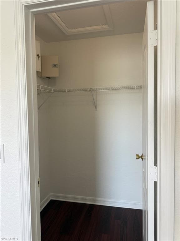 Bedroom 2 with 2 Large Walk In Sized Closets and 1 Linen Closet.