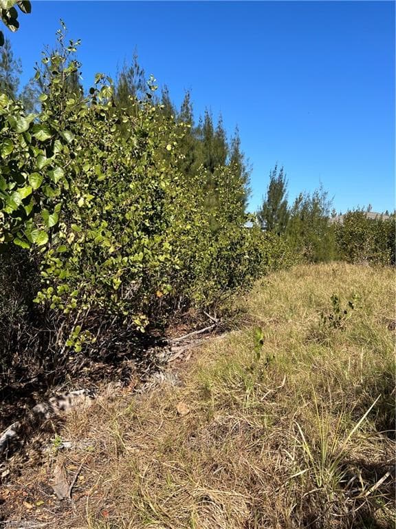 View of undeveloped land