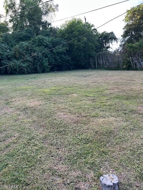 View of green lawn