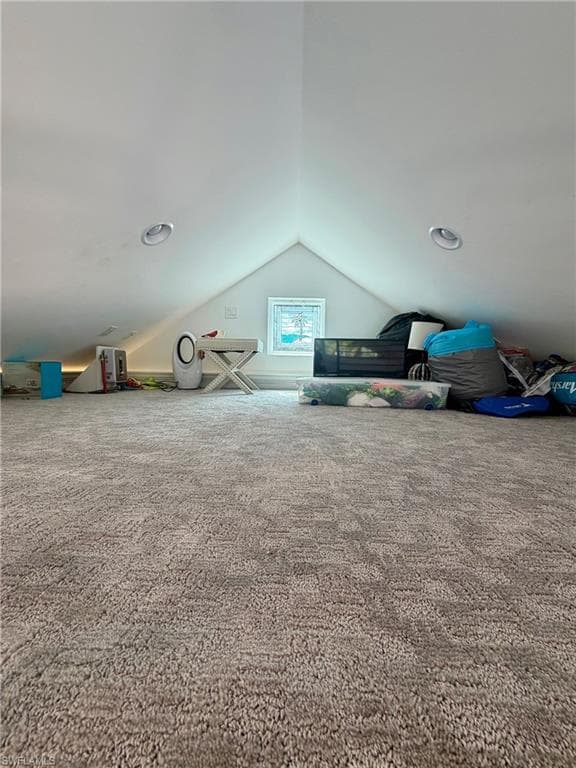 Bonus room with carpet