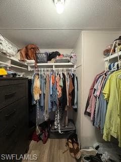 Spacious closet with light wood-style flooring