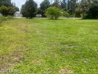 View of grassy yard