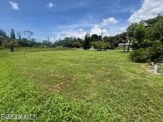 View of green lawn
