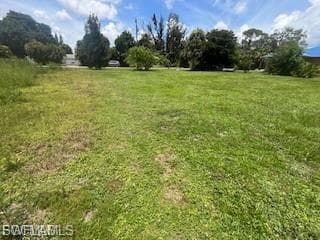 View of grassy yard