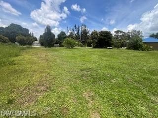 View of green lawn