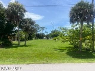 View of grassy yard