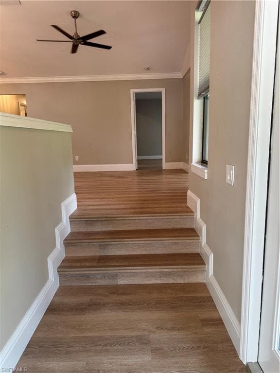 Foyer entrance from Front side main Door