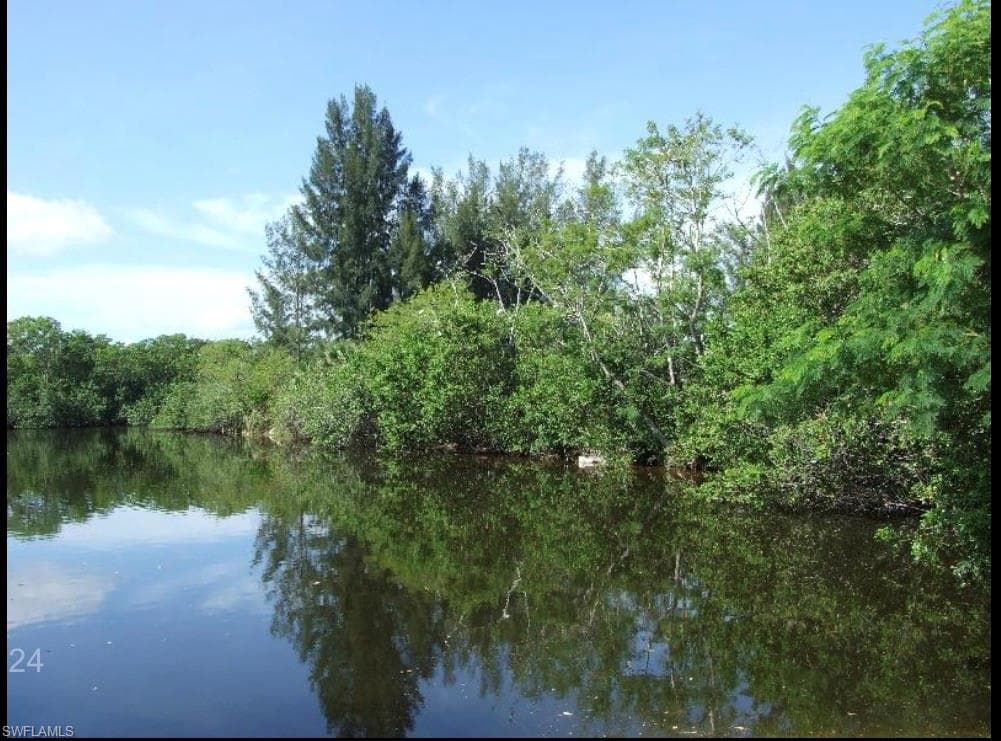 Water view with a heavily wooded area