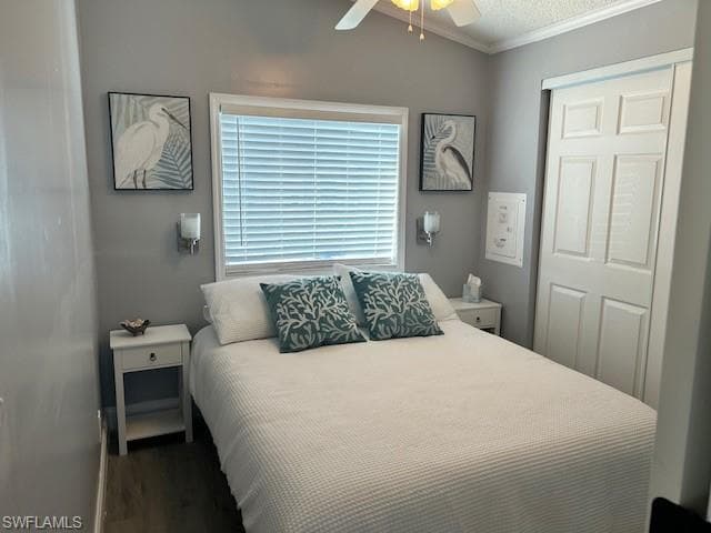 Bedroom featuring a ceiling fan, ornamental molding, dark wood finished floors, and a closet