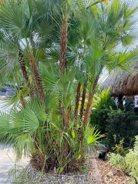 5279 Cypress Trail Resort CIR photo 24 of 46