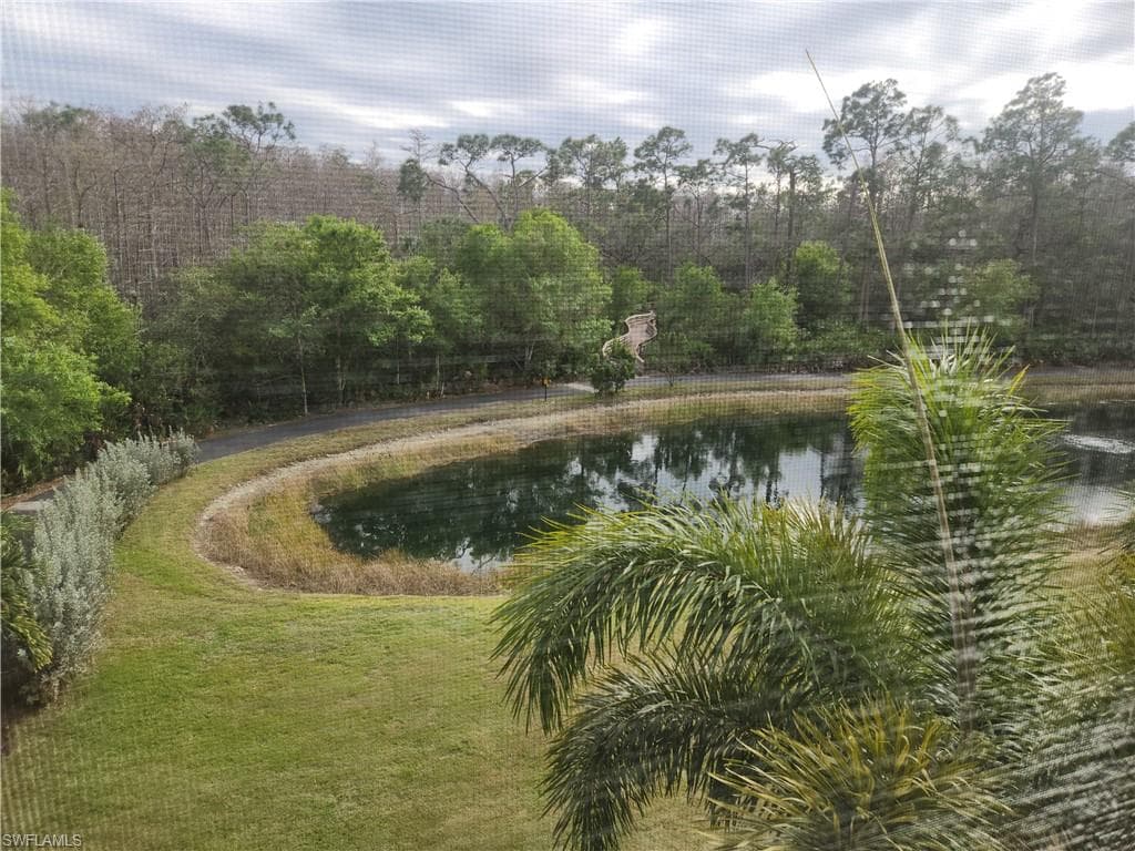 Water view