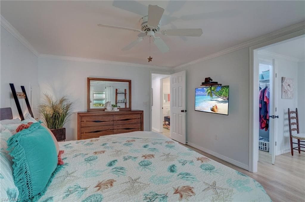 Bedroom featuring a spacious closet, ornamental molding, ceiling fan, and light wood-type flooring