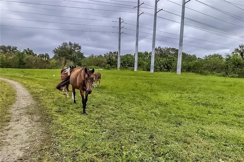 0000 Cutting Horse LN photo 11 of 20