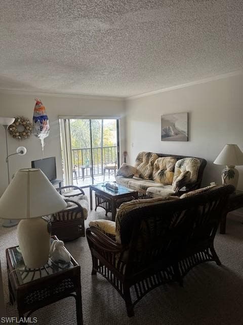 Carpeted living area with ornamental molding and a textured ceiling