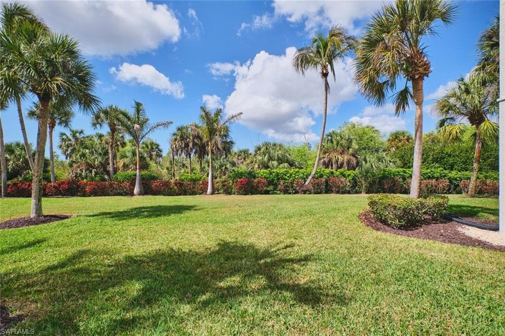 View of grassy yard