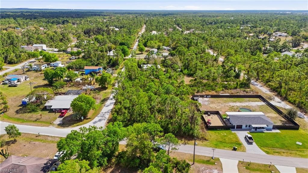 Aerial view of a forest