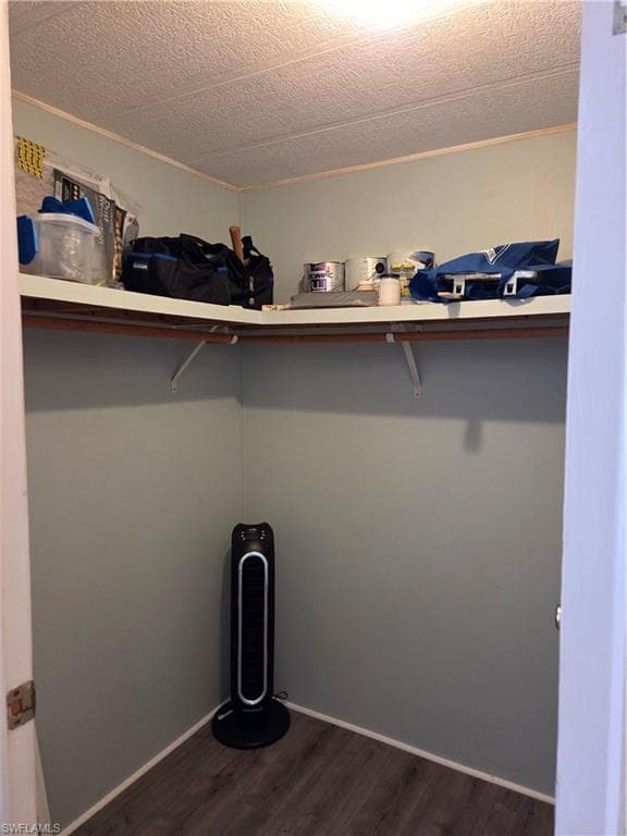 Walk-in closet in the guest bedroom.