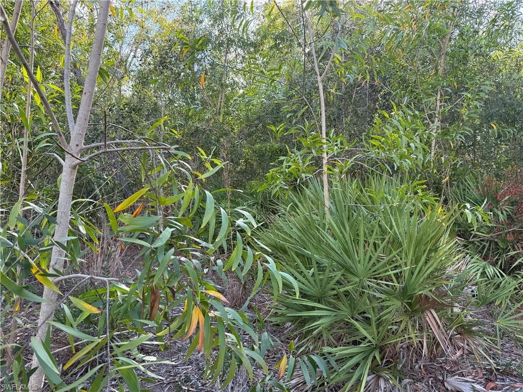 7111 Guava AVE photo 6 of 9