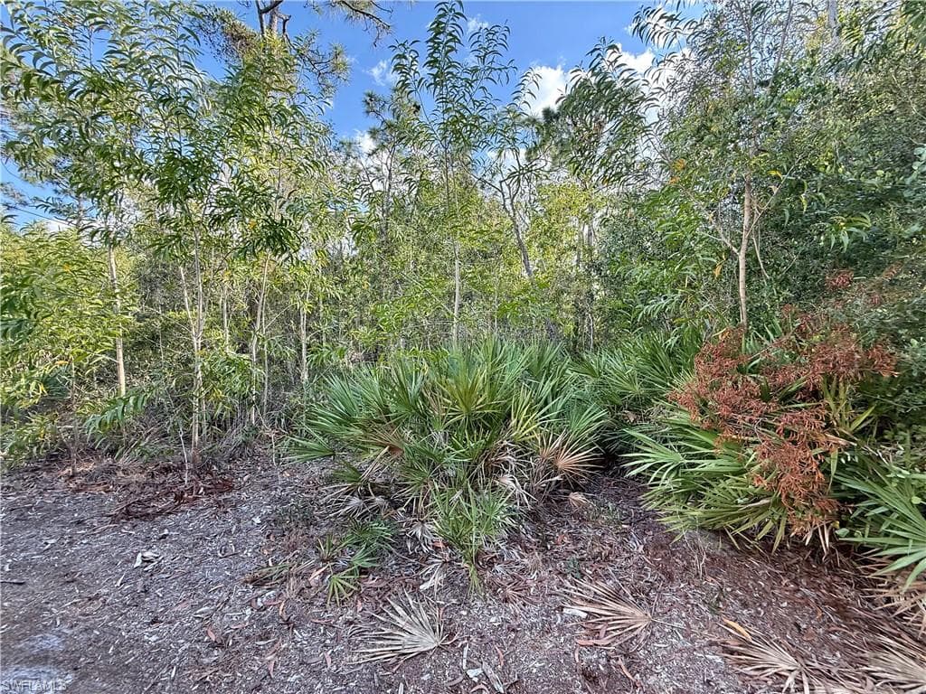 7111 Guava AVE photo 4 of 9