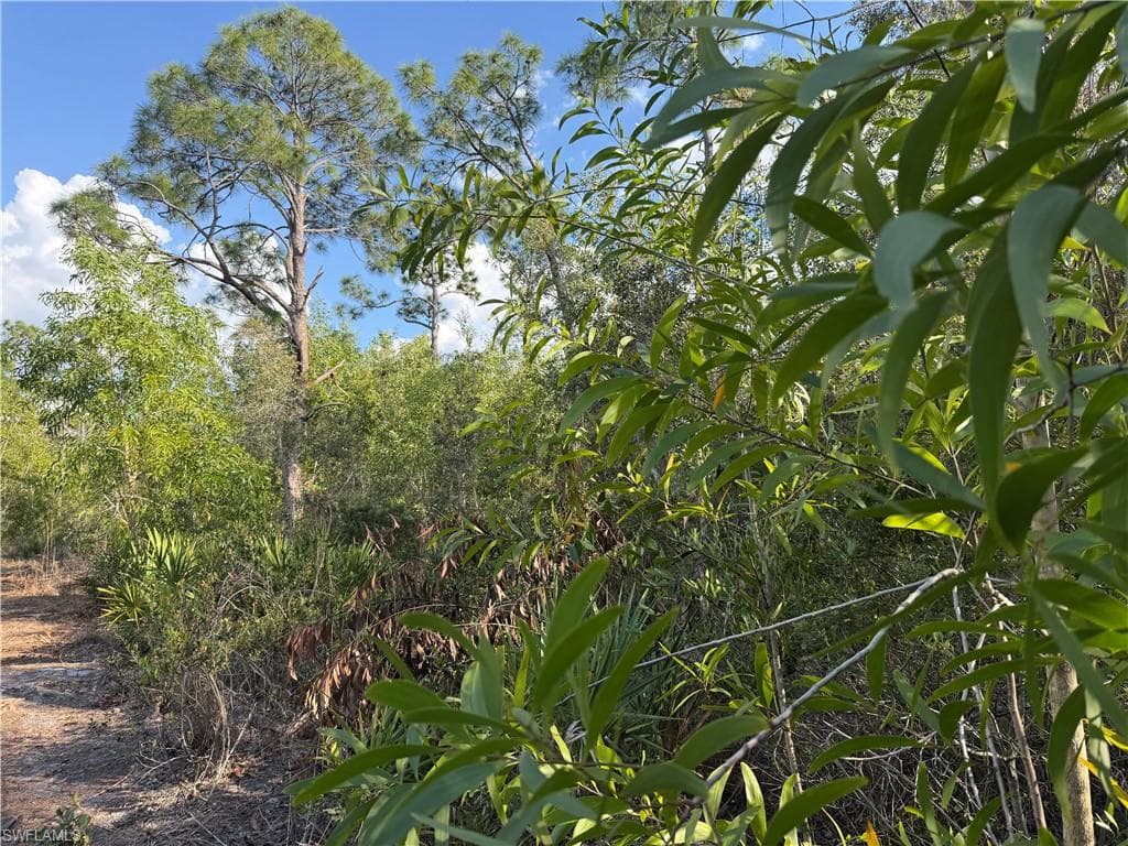 7101 Guava AVE photo 8 of 9