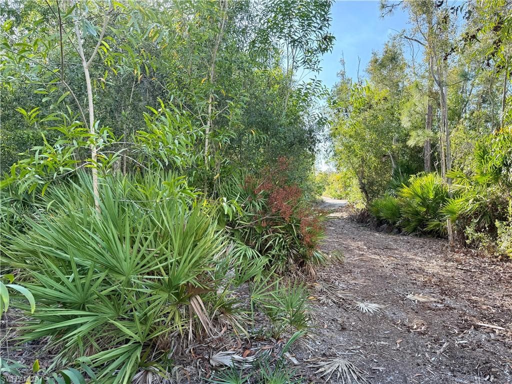 7091 Guava AVE photo 5 of 9
