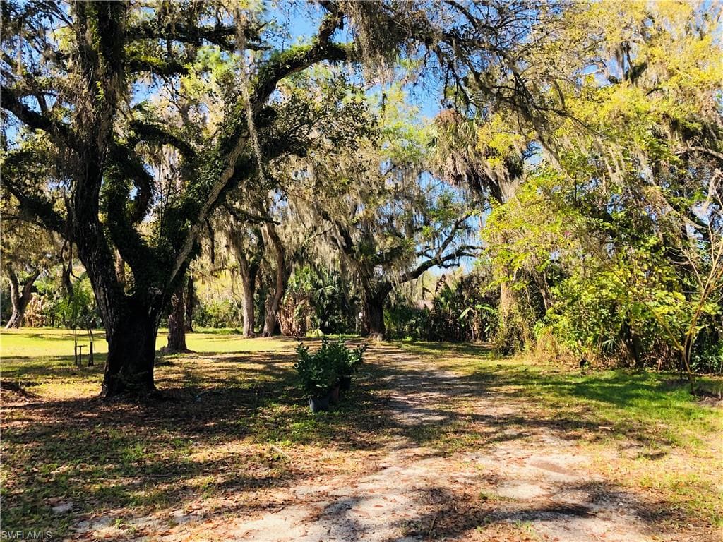 Driveway