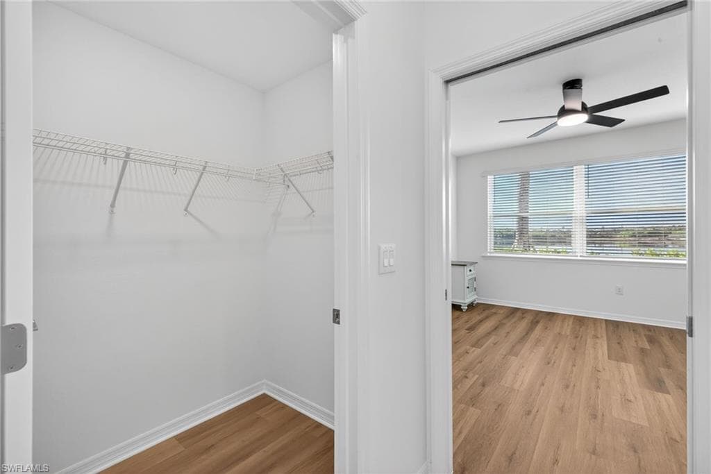 Walk in closet featuring light wood-style flooring and a ceiling fan