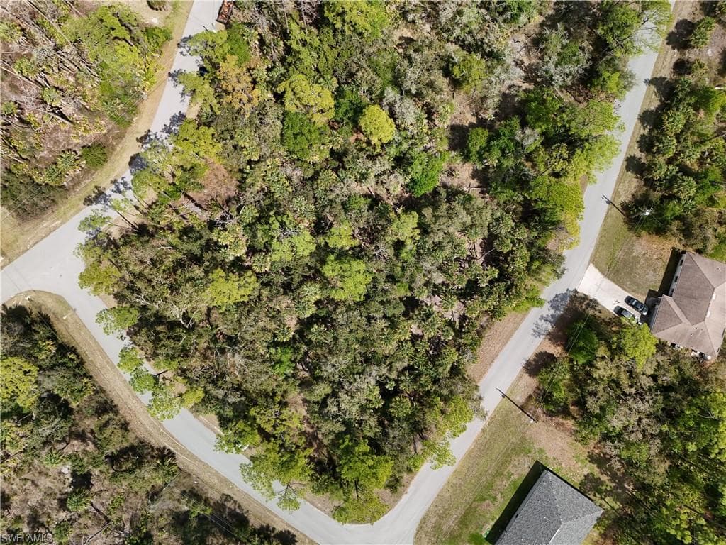 Aerial view of a tree filled landscape