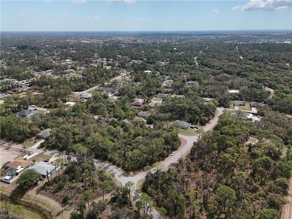 Drone / aerial view of a forest