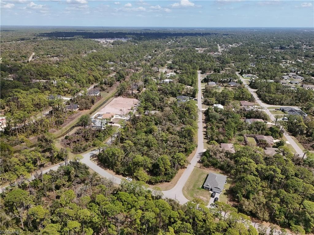 Aerial view of a forest