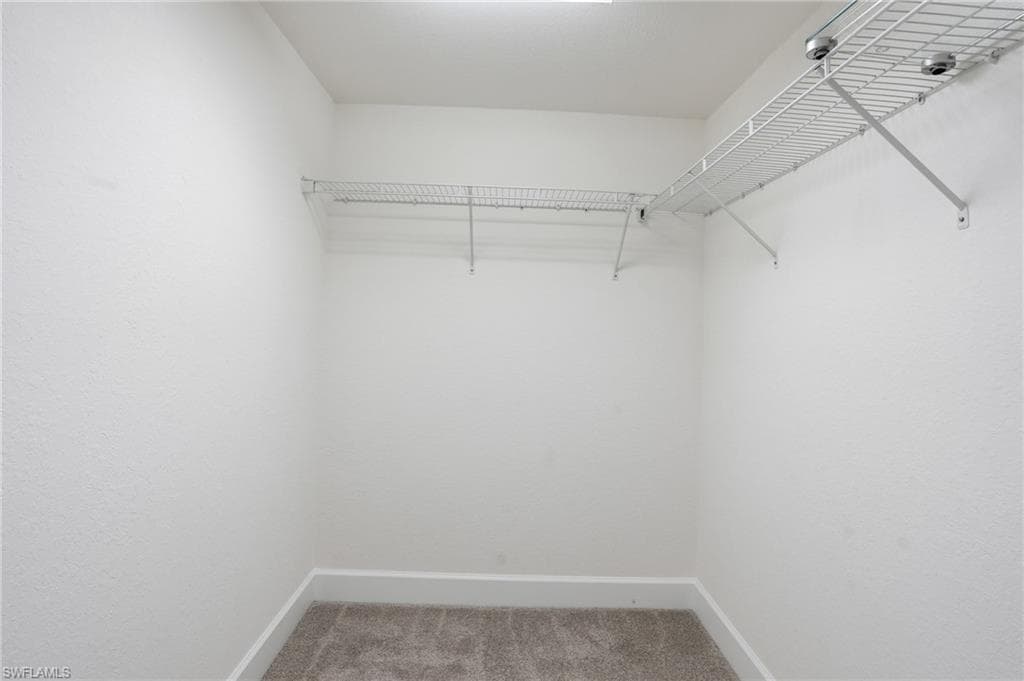 Walk in closet with light colored carpet