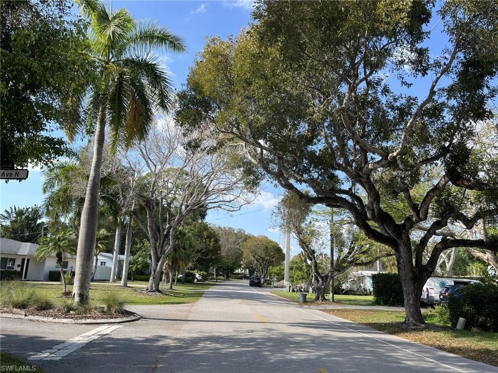 Canopy Street View North