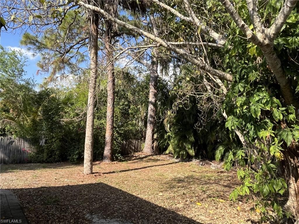Rear Lot Open View