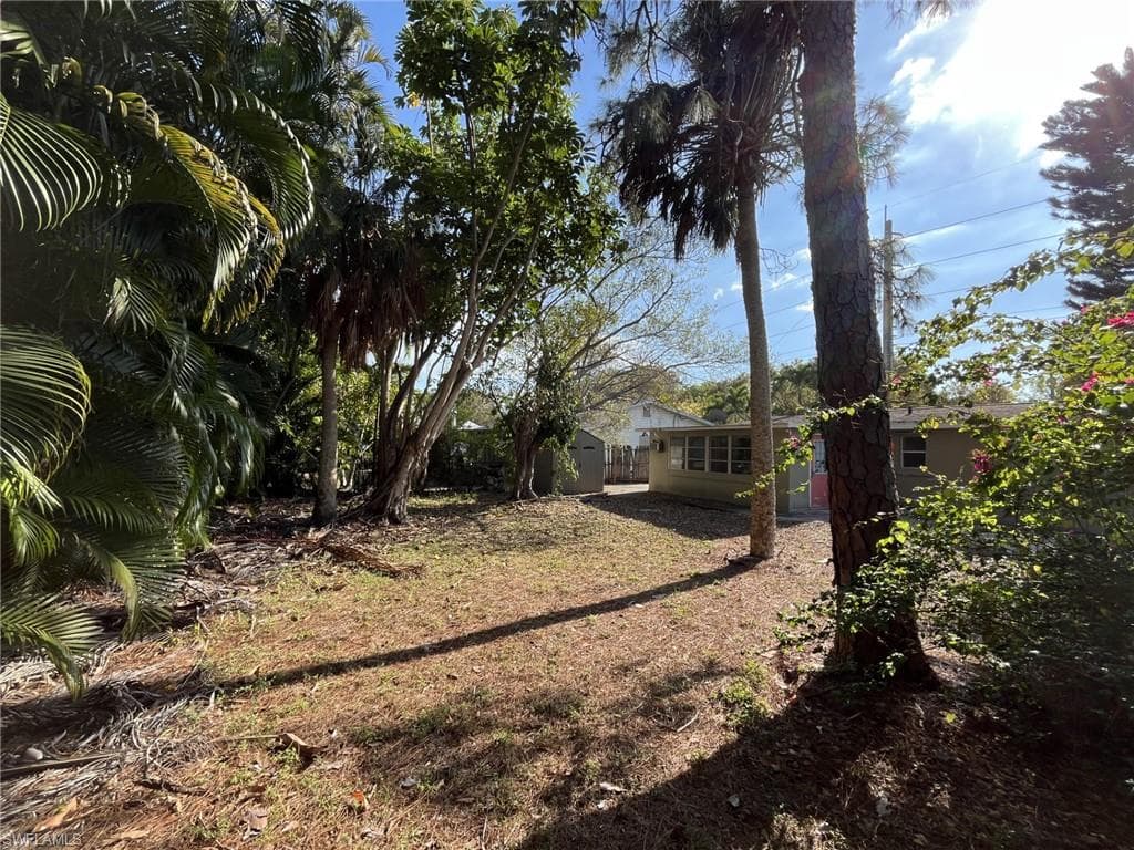 Backyard Lifestyle Angle