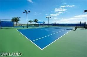Tennis and Pickleball