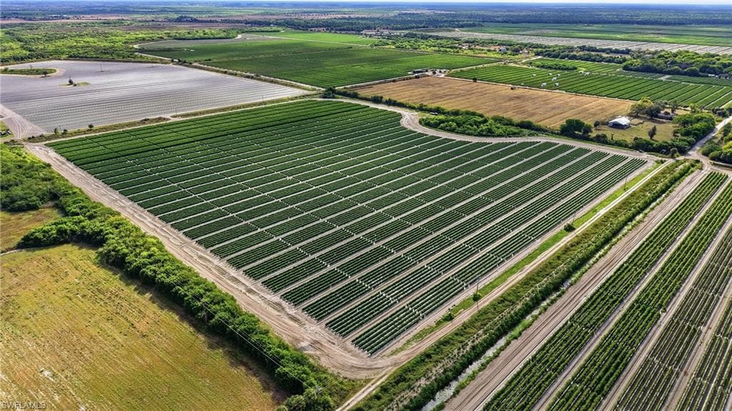 Aerial view of sparsely populated area with rows of crops
