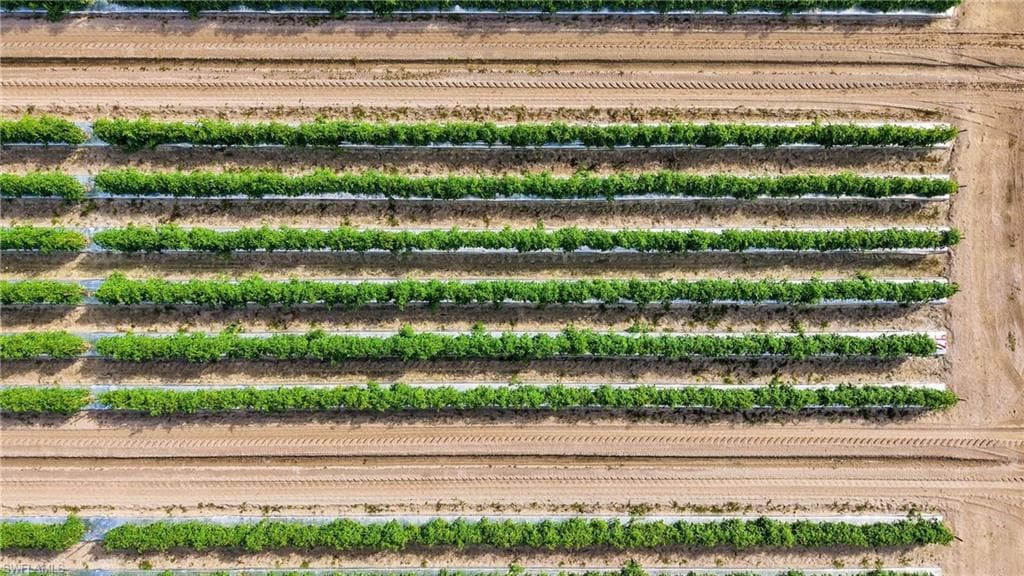 Exterior view of large plots for crops