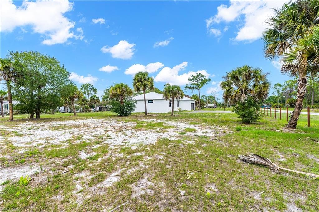 Expansive parcel with scattered palm trees and natural vegetation