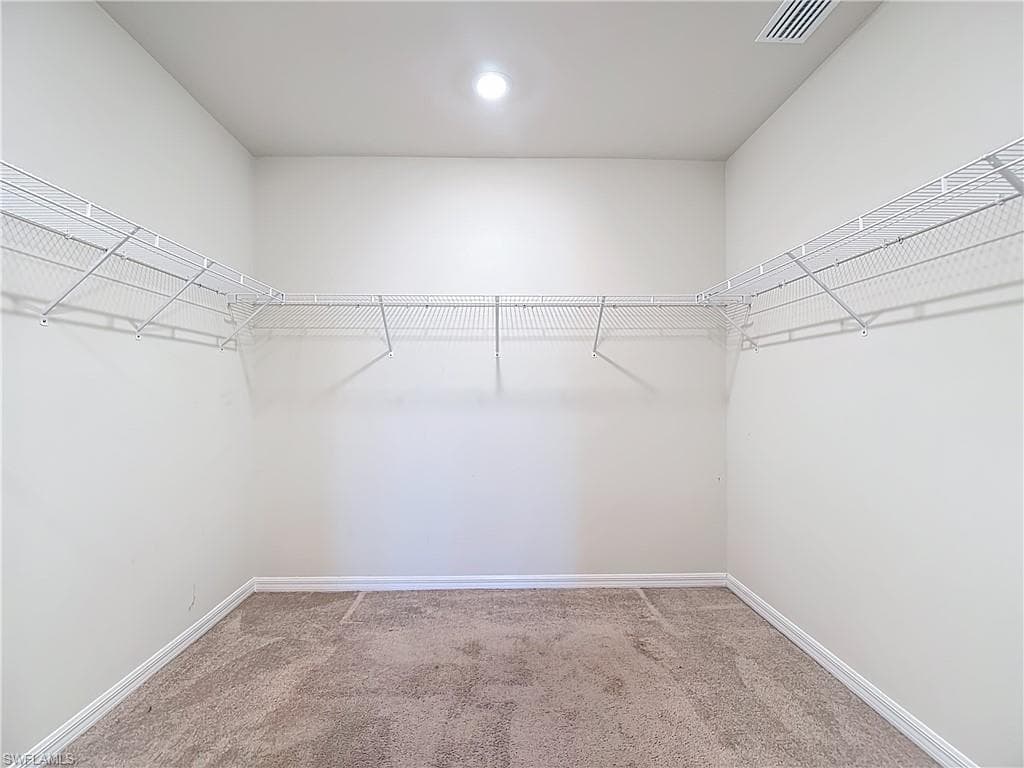 16056 Enclaves Cove DR photo 30 of 46