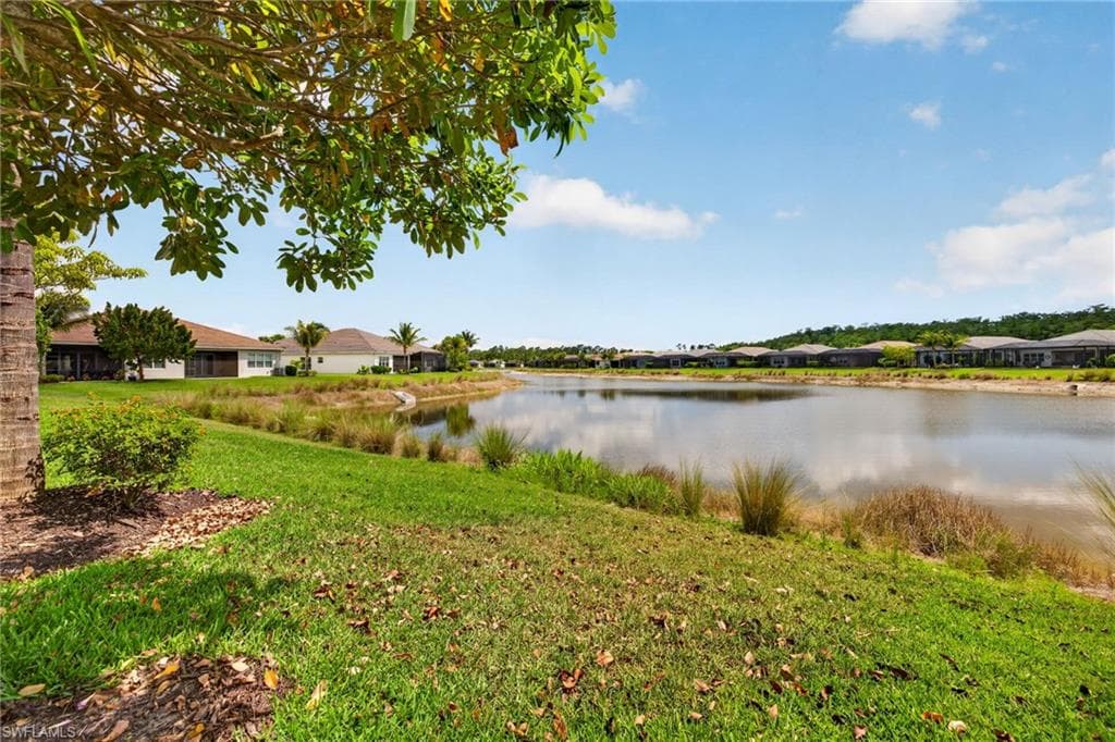 Lake view!