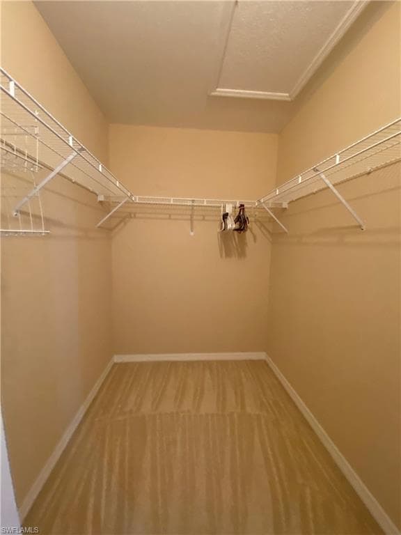 2677 Blue Cypress Lake CT photo 26 of 33