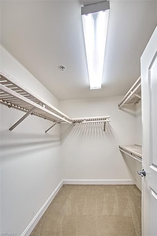 Spacious closet featuring light colored carpet